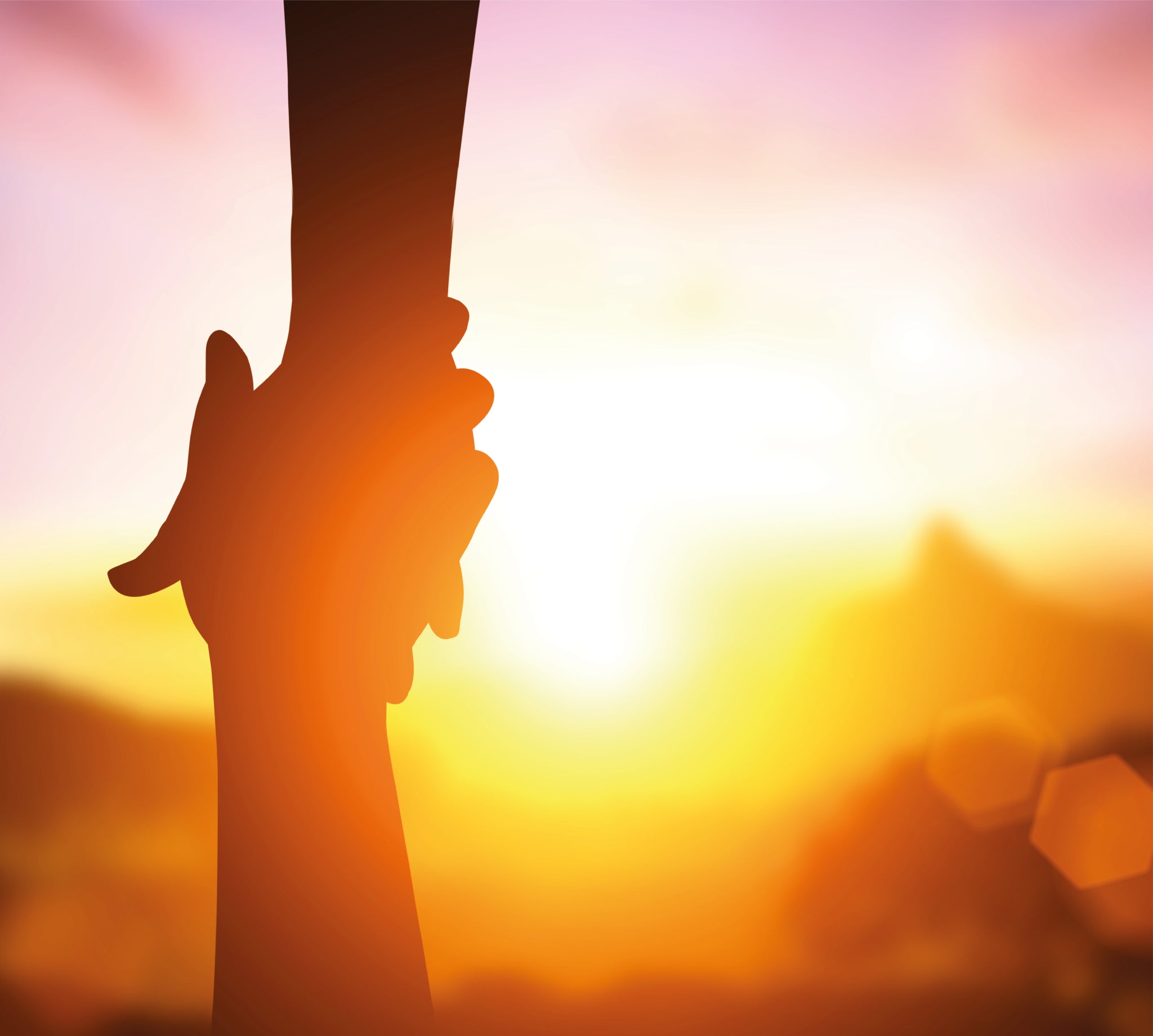 2 people holding hands with sunset in the background